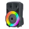 IQ Sound Portable Bluetooth 8" Speaker
