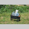 Mini Folding Trolley - Orange
