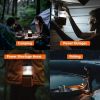 Salt Water Powered Camping and Fishing Multi-devices Chargeable Light - light